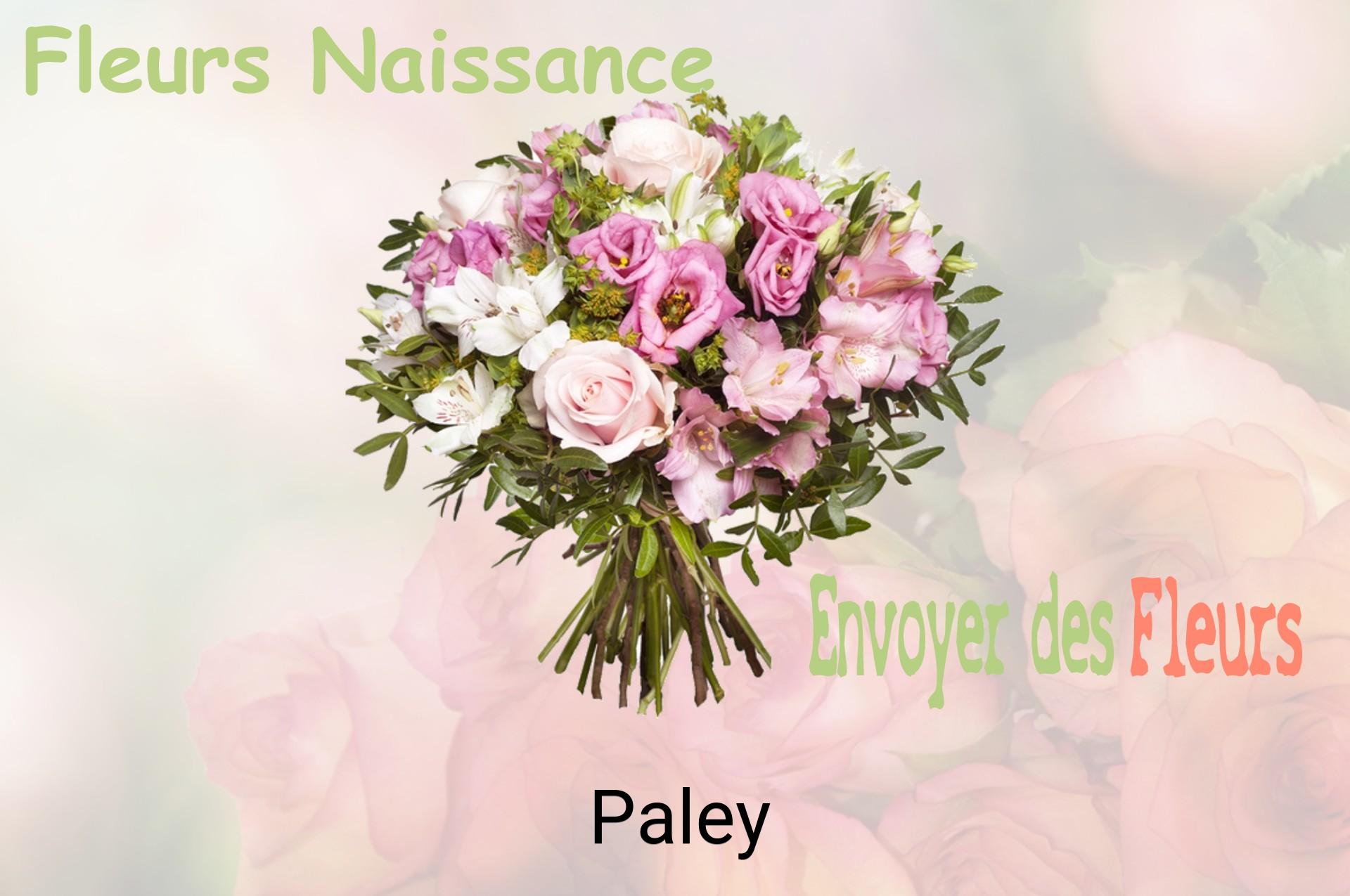 Bouquet de fleurs de naissance livré à Paley